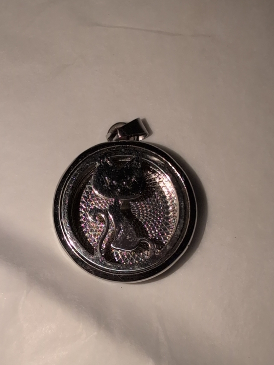 Jewelry - ❤️‍🔥10/$10❤️‍🔥 Silver Cat Pendant Necklace Charm Locket